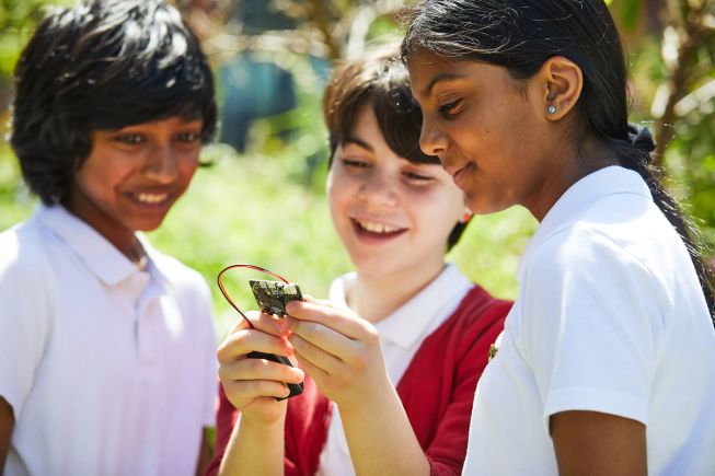 Three primary/elementary age students look at a micro:bit connected to a battery pack while outdoors. 